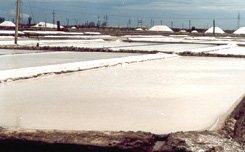 Salt Fields